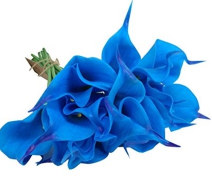 Bouquet Azzurro Per Il Matrimonio