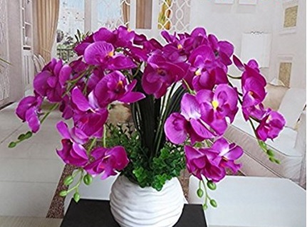 Phalaenopsis Composizione Floreale Artificiale