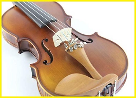Violini Bambini Principianti